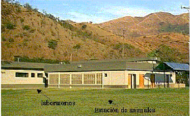 centros para estudiar periodismo en maracay Instituto de Investigaciones Biomedicas (BIOMED UC)